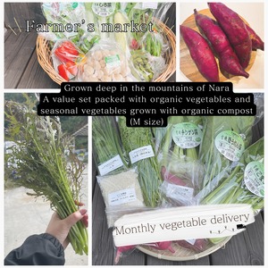 Organic & Seasonal Vegetable Set (Regular Delivery), M size.
