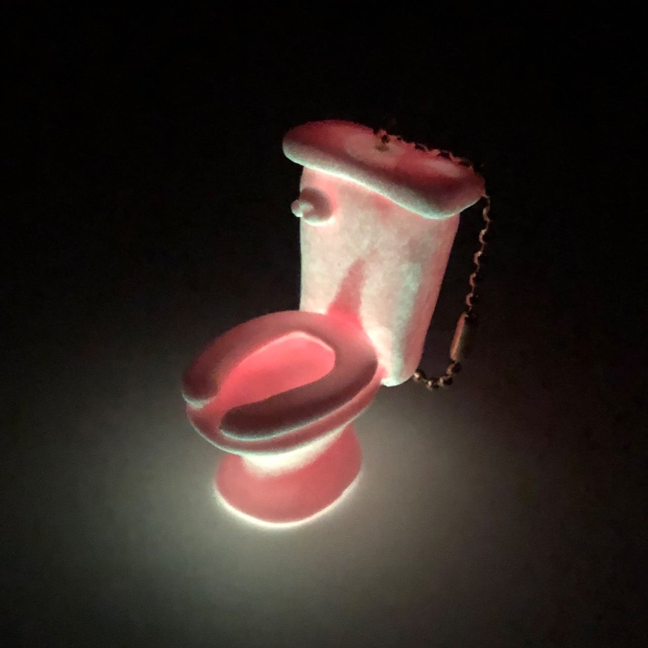 STASCM KEYHOLDER "TOILET" Glow in The Dark