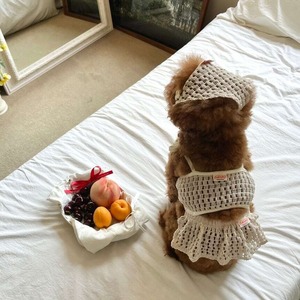 予約【pecoramou select】cottage series Babushka (hat)