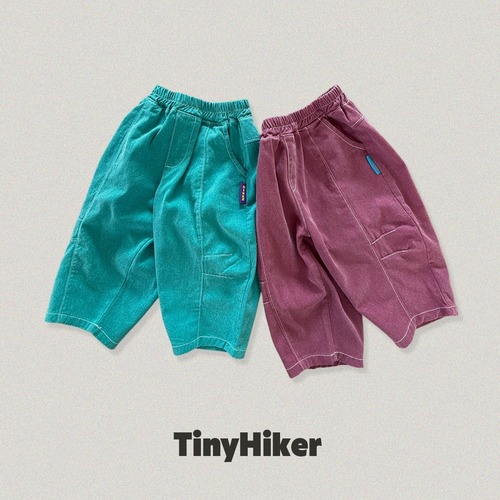 tiny hiker［取寄］pigment avan dart pants 26autumn