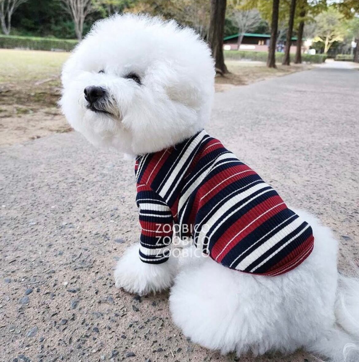 犬服　マルチボーダーＴシャツ　犬ボーダーウェア　ペット服 即納】【予約】マルチボーダーTシャツ 韓国犬服 | piccolino(ピッコリーノ)