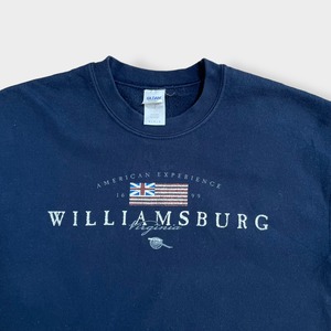【GILDAN】Williamsburg ウィリアムズバーグ 星条旗 アメリカ ロゴ プリント スウェット トレーナー プルオーバー M US古着