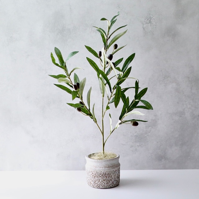フェイクグリーン オリーブ 観葉植物 卓上 H50cm コンクリートポット インテリア