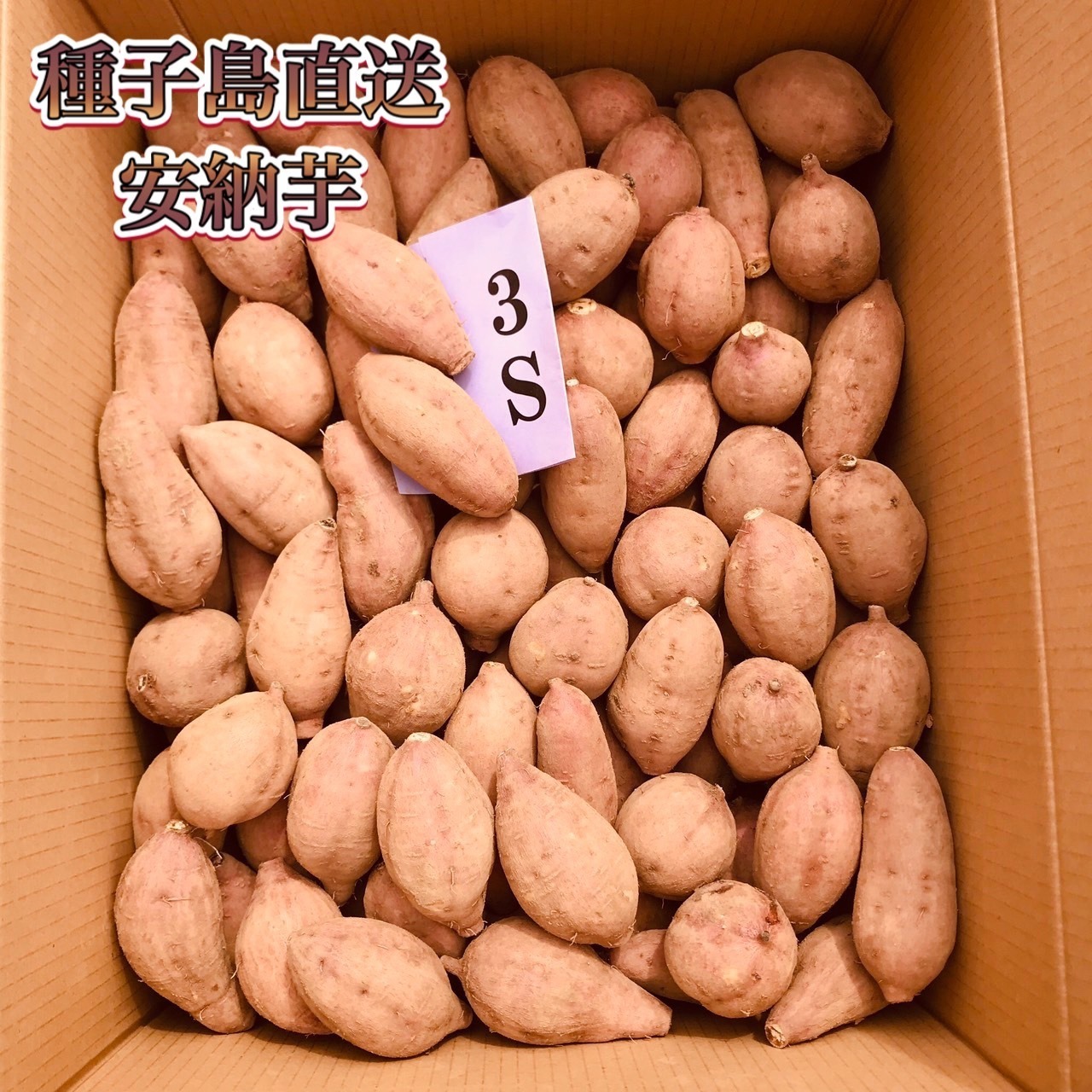 安納芋 3Sサイズ 2kg｜箱別・画像3