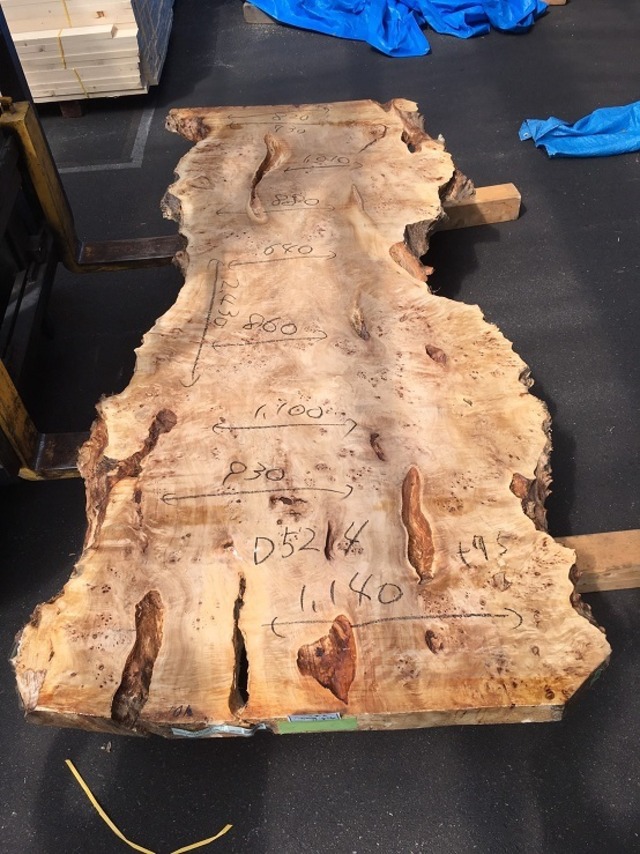 ポプラ瘤_2430×640-1140×75_柏店_オーダー用原板 18281