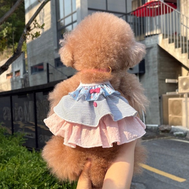【予約】[cozy-n] Sunny Summer Dress; flower mood