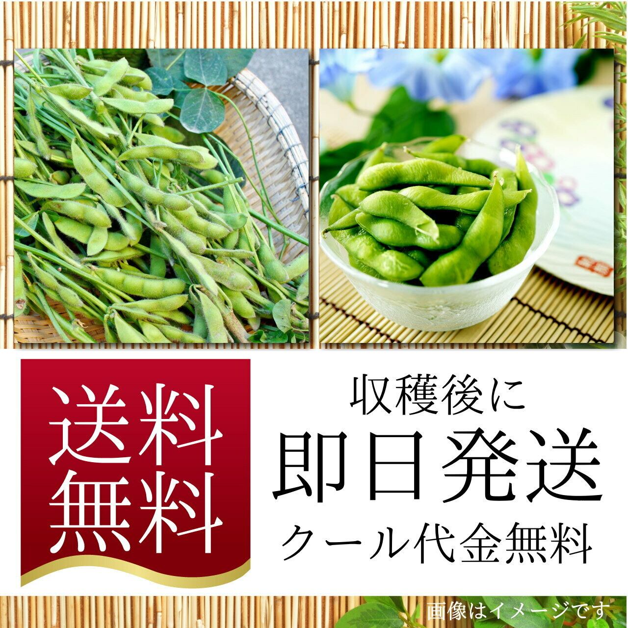 eXrXi 枝豆A品5キロ eXrXi 枝豆A品5キロ 楽天市場】えだまめ 5