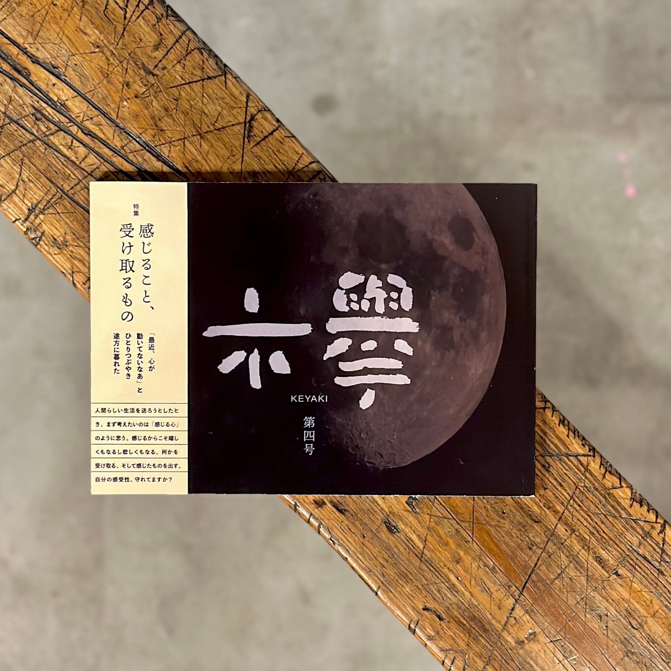 欅／KEYAKI 第四号