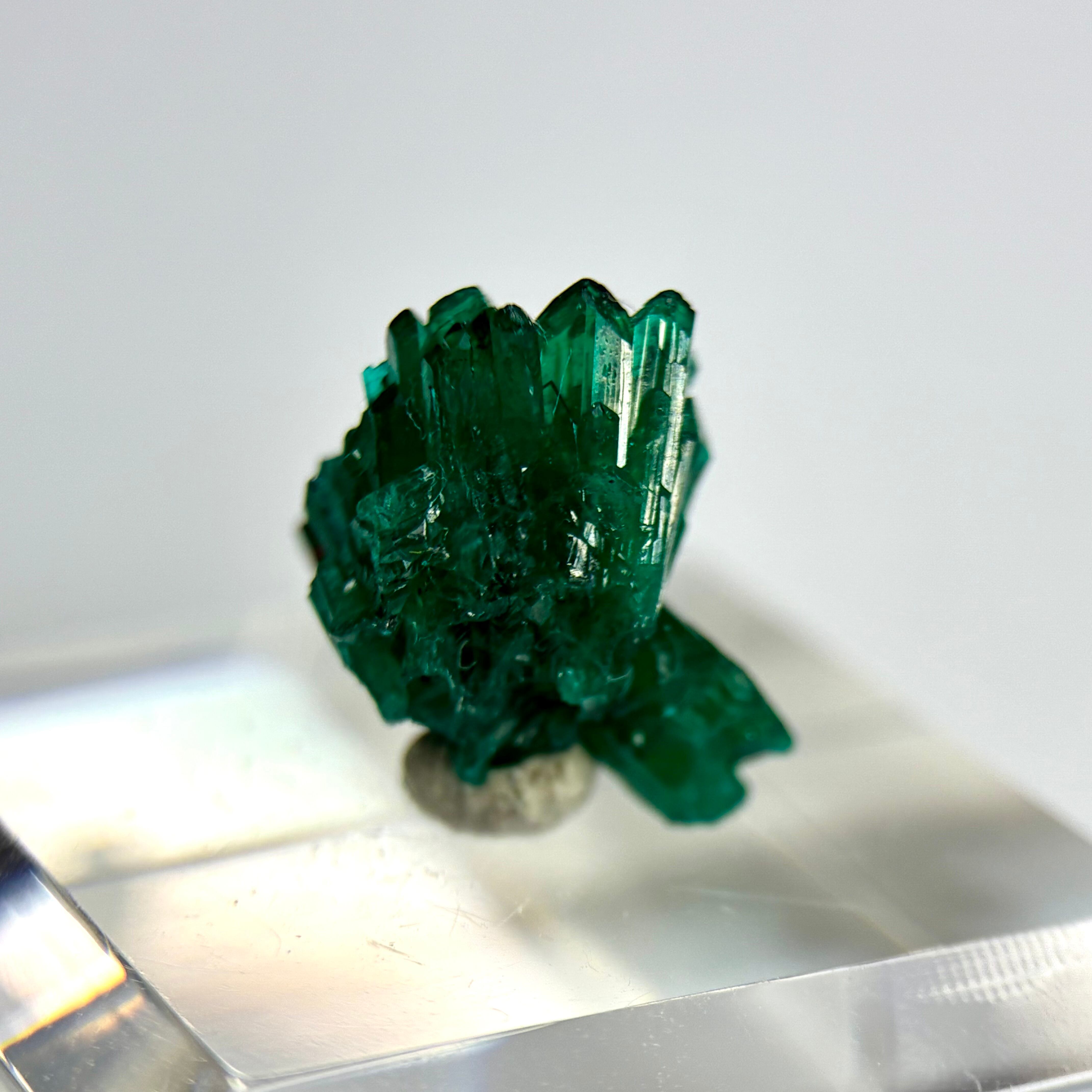 コンゴ産ダイオプテーズ 【一点物】 原石 鉱物 天然石 パワーストーン