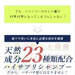 HERBNIC ハーブニック シャンプー&トリートメント　300ml