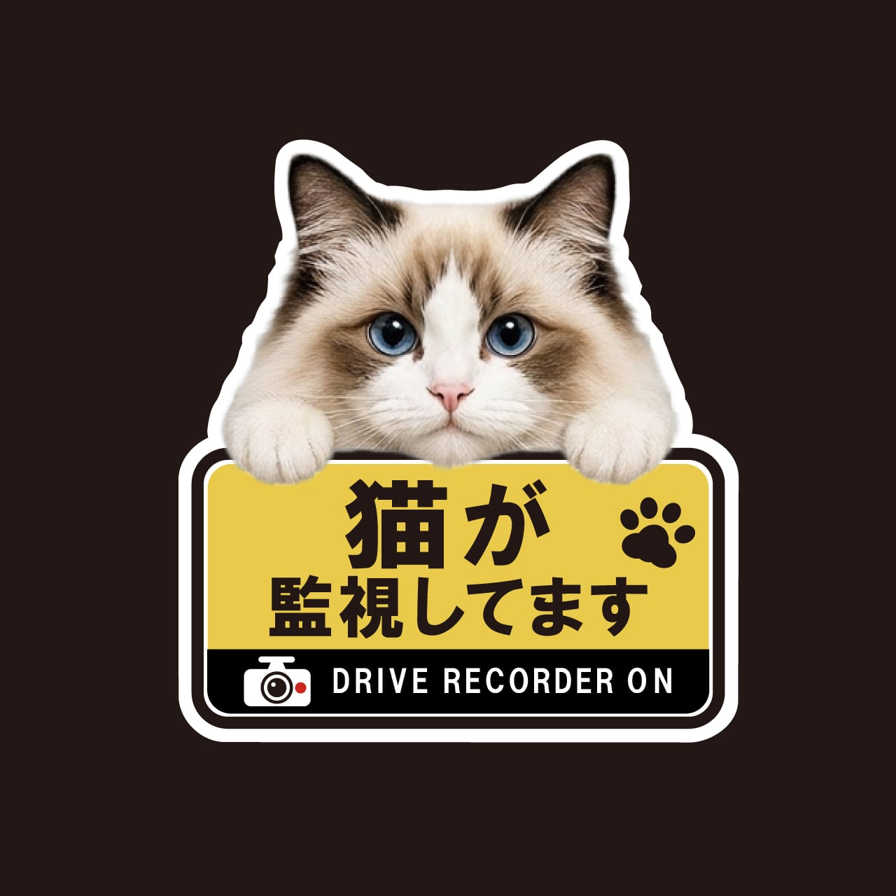 ラグドール・猫・CAT・cat・ドライブレコーダー・ドラレコステッカー・撮影中・車・ステッカー・インクジェット印刷・角ゴシック・屋外用・猫好き・ドライブグッズ・監視しています・おもしろい・かわいい・肉球