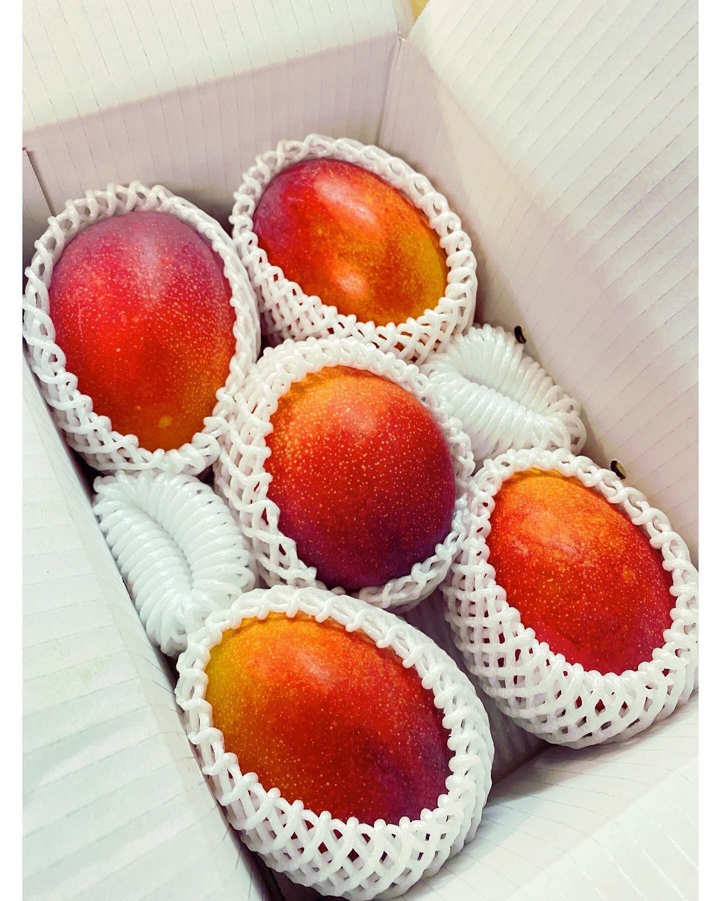 沖縄産・完熟】アップルマンゴー 2kg 優品 白箱 お得用 | ククナファーム