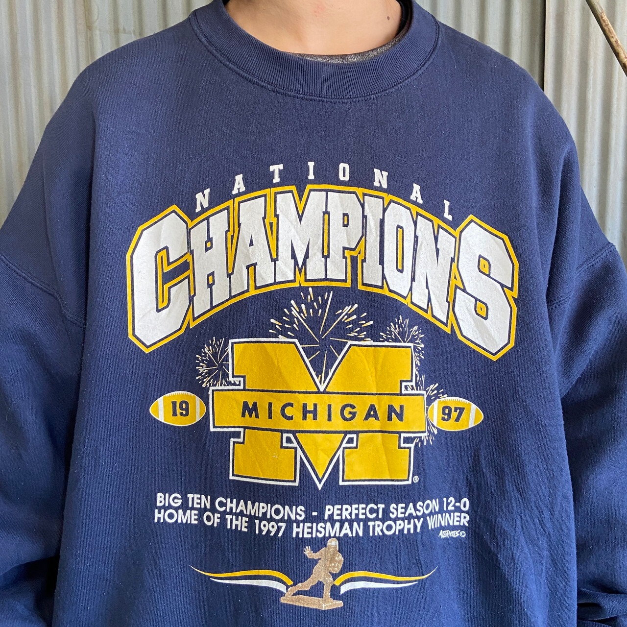 ビッグサイズ 90年代 USA製 Michigan wolverines カレッジチームロゴ 