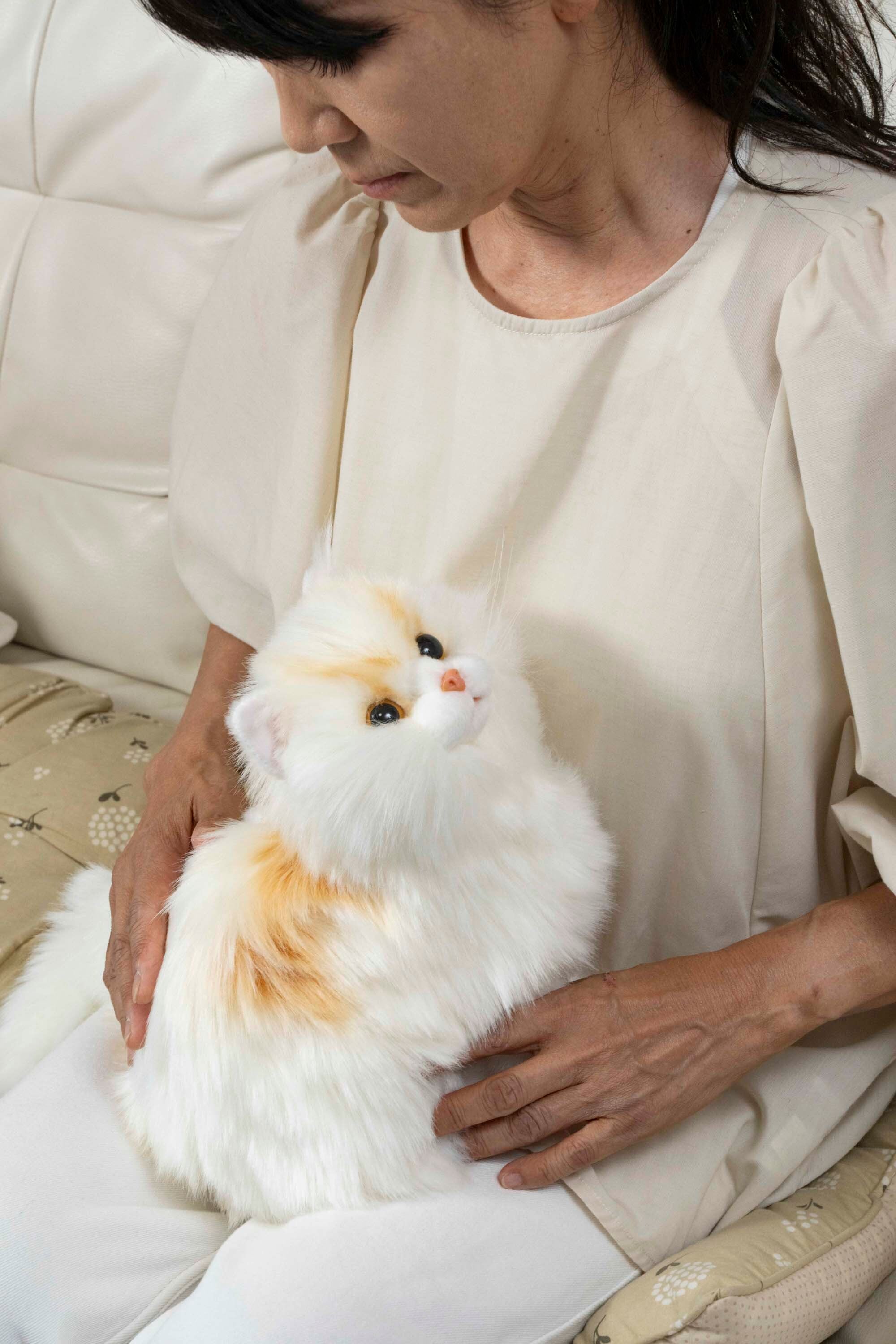 なでなでねこちゃん子猫ちゃん ラグドール | トレンドマスター
