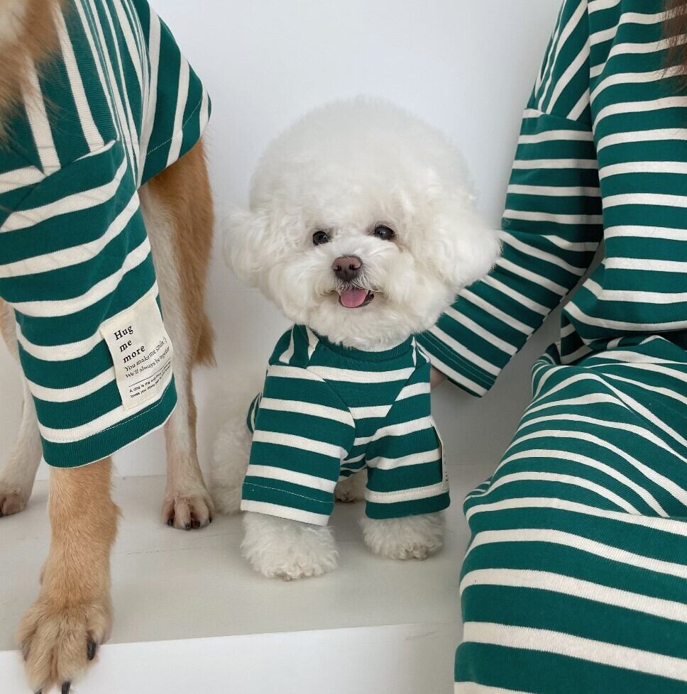即納【hugmemore】Allday Stripe Dog TShirt《Green》