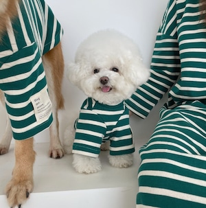 即納【hugmemore】Allday Stripe Dog TShirt《Green》