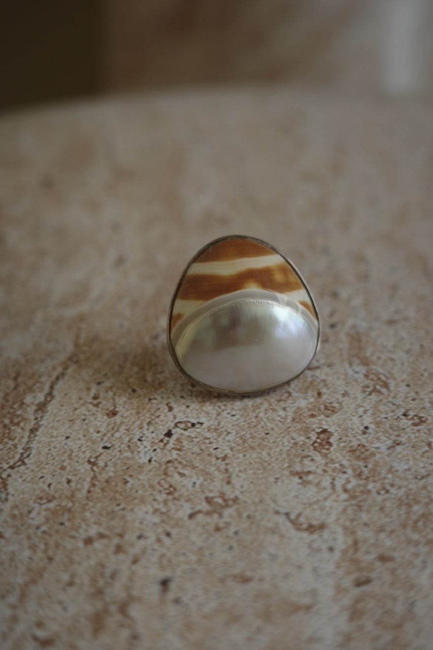 vija Shell ring 18号