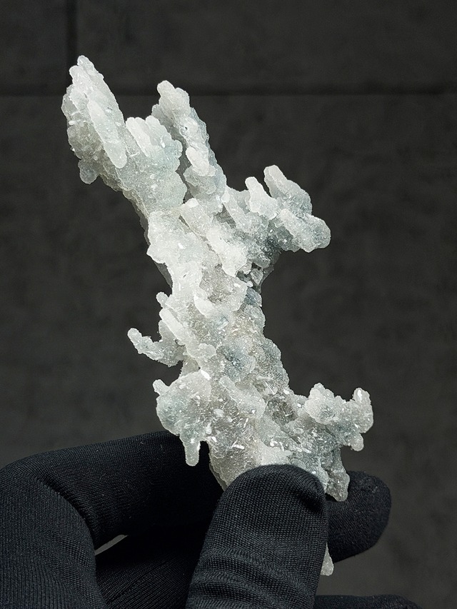 ブルーカルセドニーコーラル【ML-0176】インド