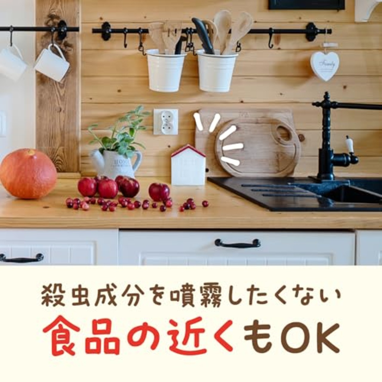 コバエがホイホイ 赤い屋根のおうち コバエ駆除剤 本体+詰め替え×3 コバエ取り コバエ対策 コバエ駆除 捕獲 小バエ 罠 エサ 小蝿退治 室内
