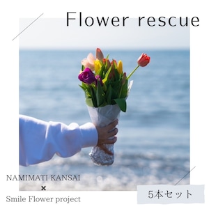 NAMIMATI×スマフラ☆Flower rescue☆個性豊かな規格外チューリップ5本【送料込み】★フラワーロス支援