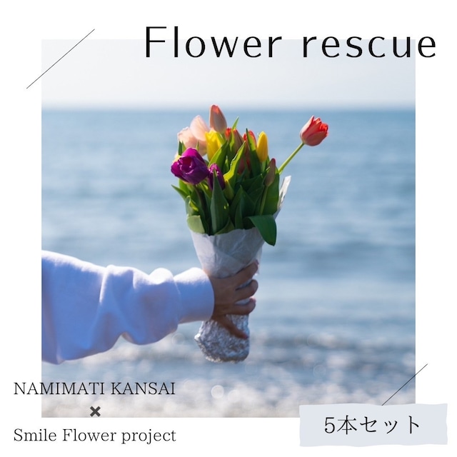 NAMIMATI×スマフラ☆Flower rescue☆個性豊かな規格外チューリップ5本【送料込み】★フラワーロス支援