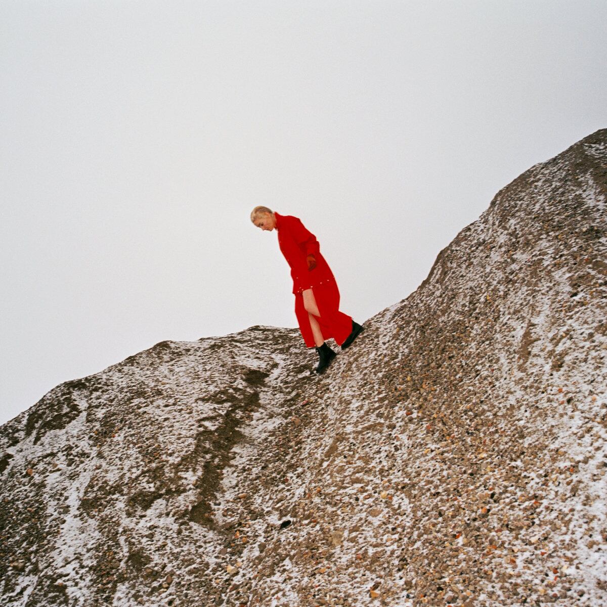 Cate Le Bon / Reward（LP）