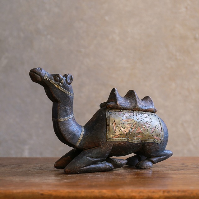 深い味わいの、プリミティブなラクダ 1