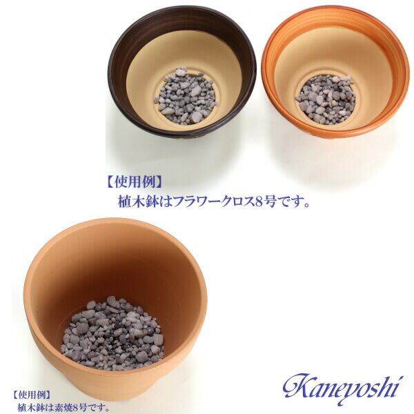 板付けビカクシダ専用 ドリップ式給水器 40個 給水器)鳥用サイホン式