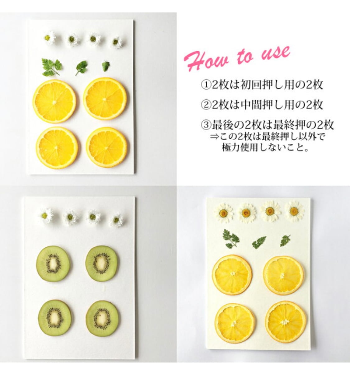 押しフルーツ・押し野菜乾燥シート | astin muhler | 押し花 押しフルーツ・押し野菜乾燥シート | astin muhler | 押し花