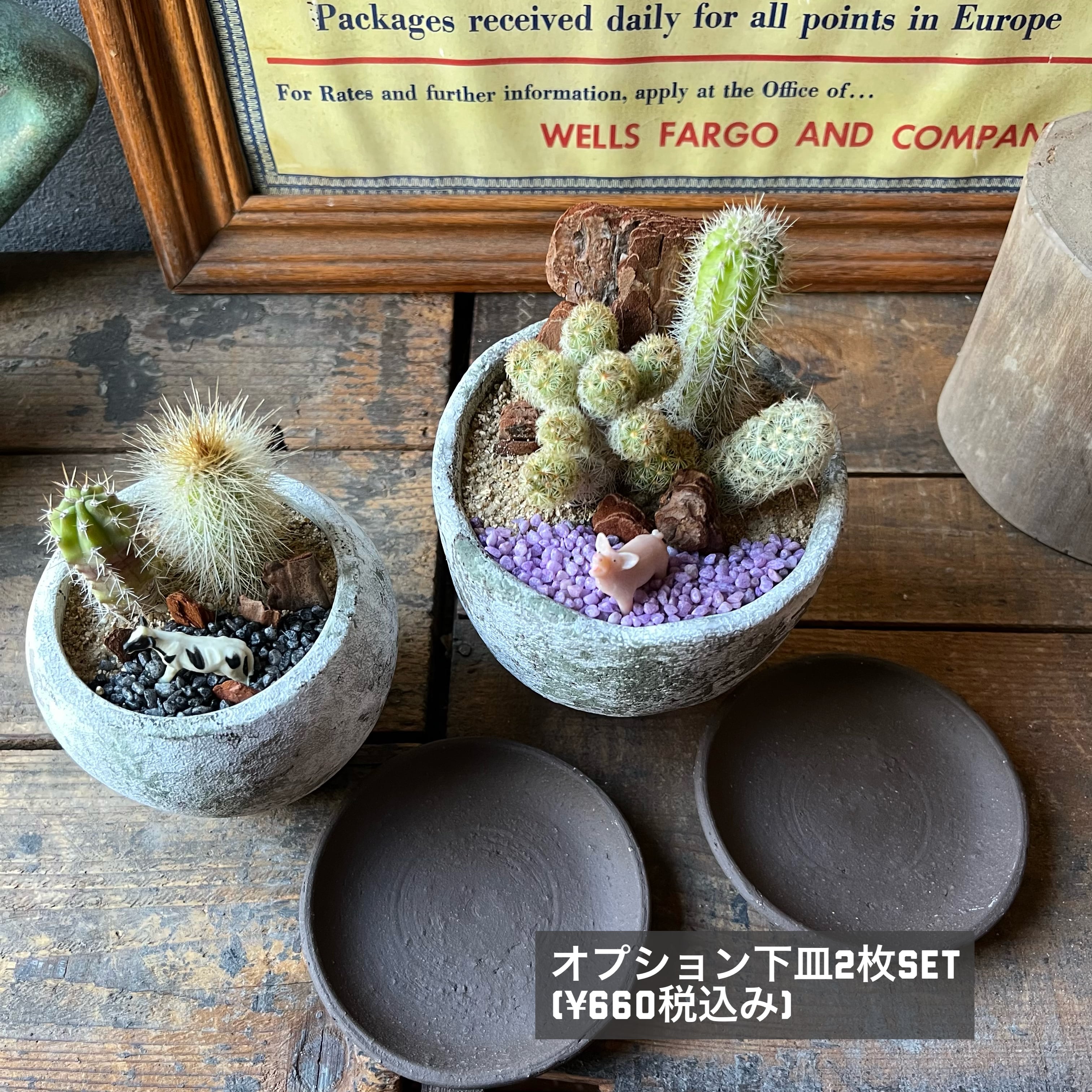 MINI 2鉢SET Pig&Cow | SABOTEN MISSILE