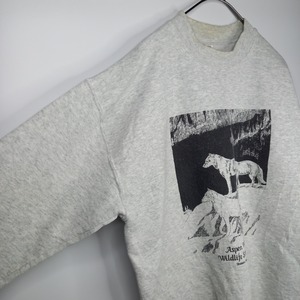 90s　フルーツオブザルーム　クルーネック　スウェット　トレーナー　アニマル　M