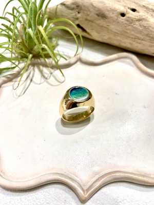 Enamel signet ring circle (green) K10 size11.5