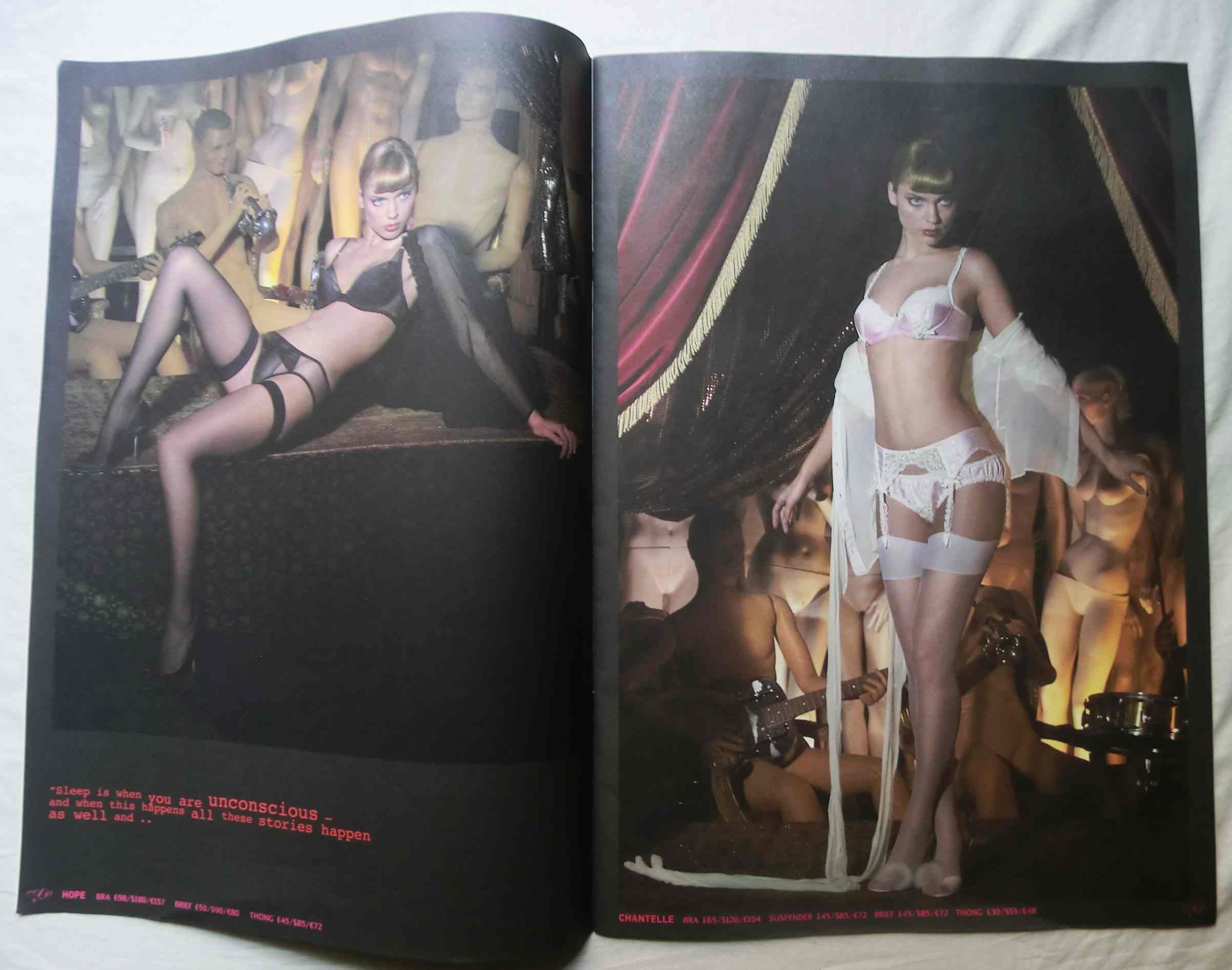 本 洋書 Agent Provocateur Exhibitionist
