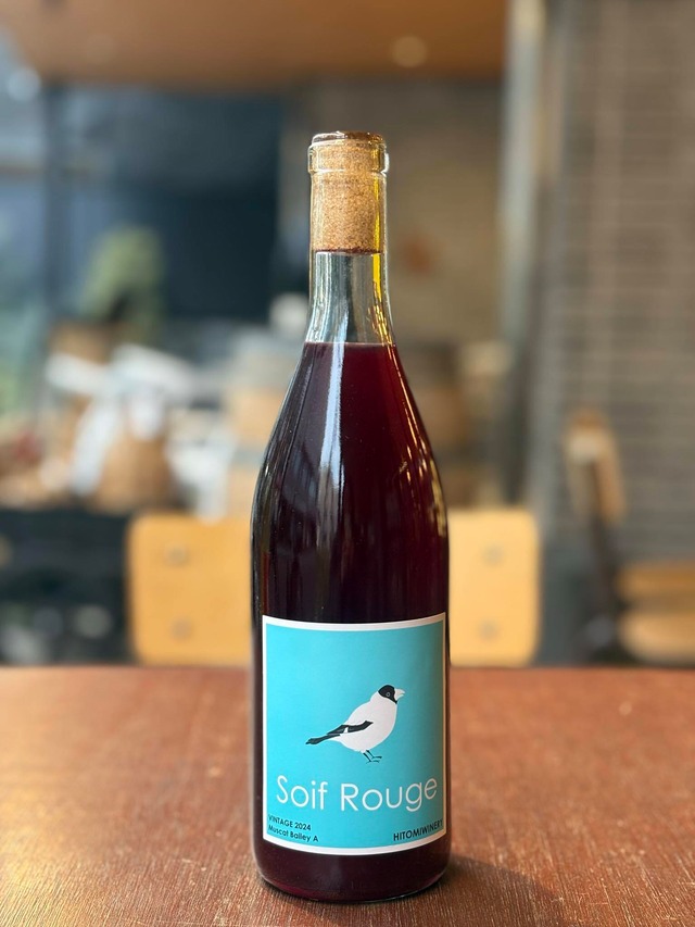 2024 ベリーA / LES VINS VIVANTS 【日本・長野】