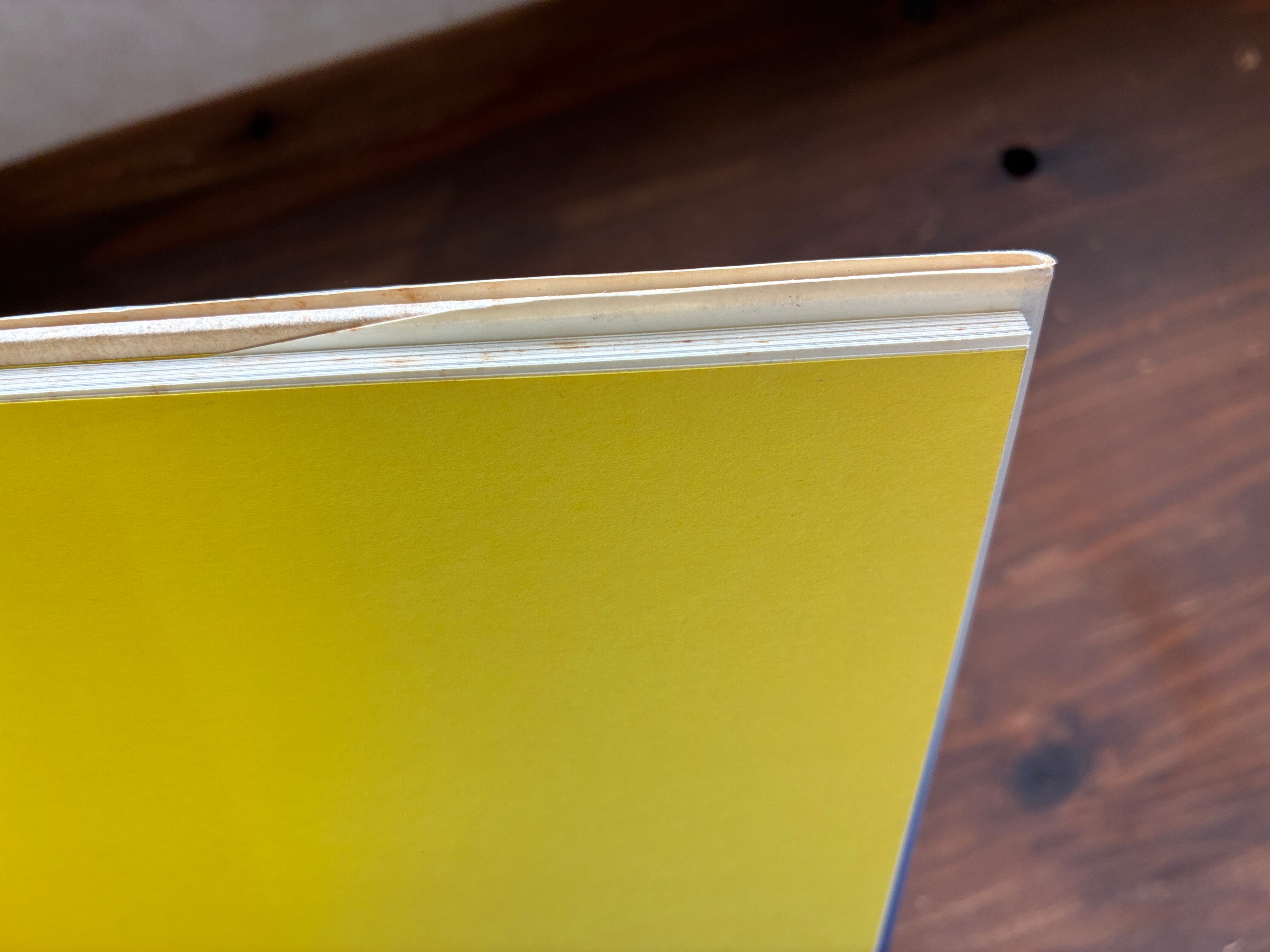 青猫島コスモス紀