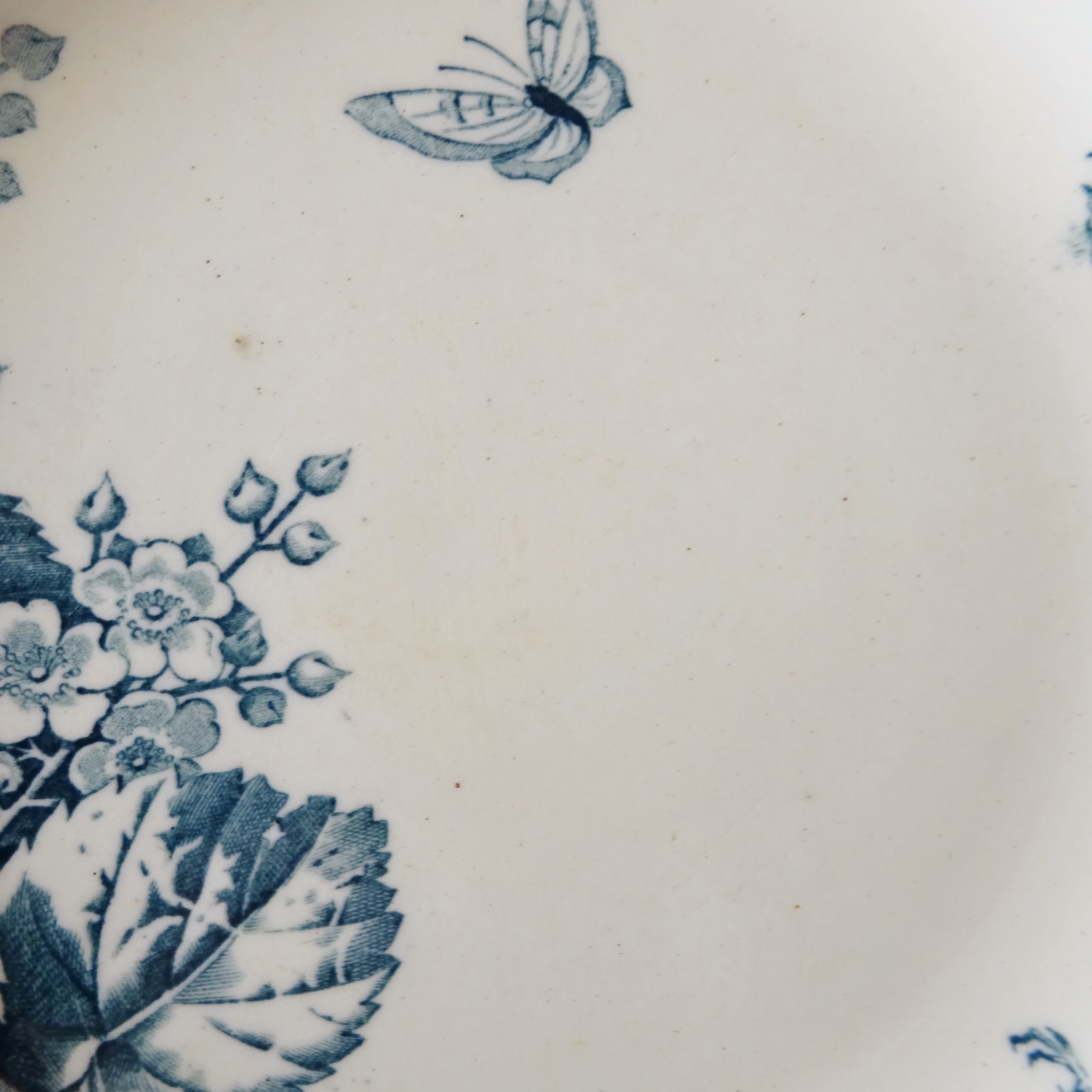 【 Épuisé 】KG Lunéville  modèle《RONCE》Assiette creuse