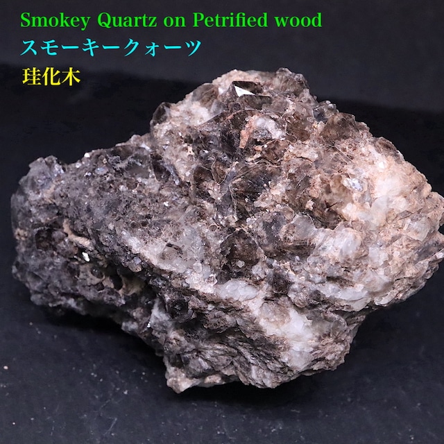 ※SALE※ スモーキー クォーツ on 珪化木 煙水晶 236,6g SQZ077 鉱物　原石　天然石　パワーストーン