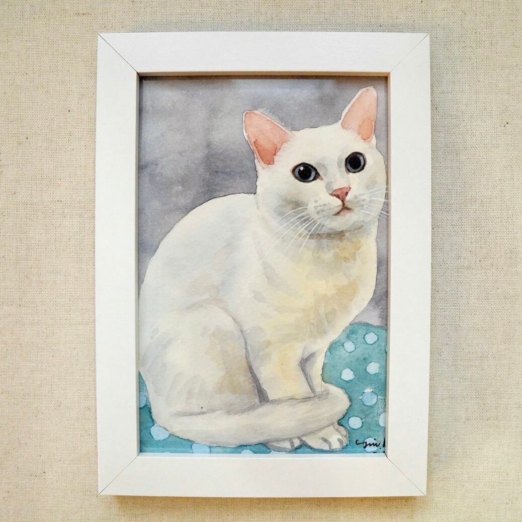 猫の絵 396 水彩画 原画 ミニ色紙 ハチワレ | Forest cat