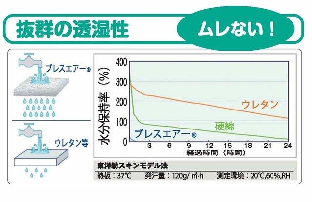 とわの快護365 サポートクッション 制菌加工 丸洗いOK 日本製(2枚合わせ)