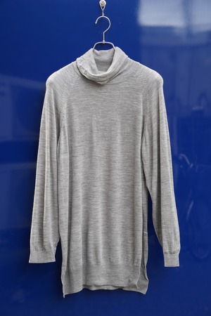 Edwina Hörl(エドウィナホール) ロングタートルニット (GRAY/Mサイズ)ユニセックス