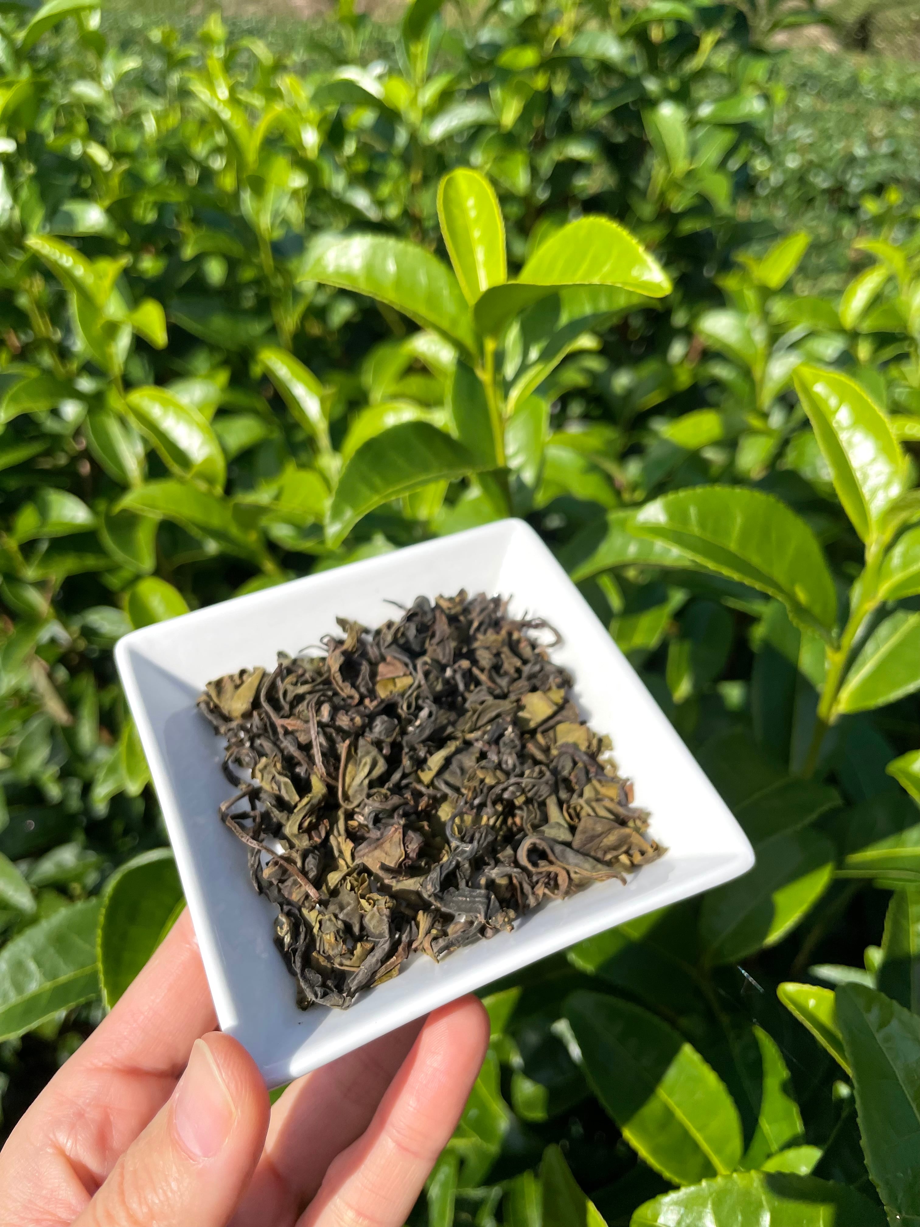 茶のままです 0000000000692_PqtEy4o.jpg