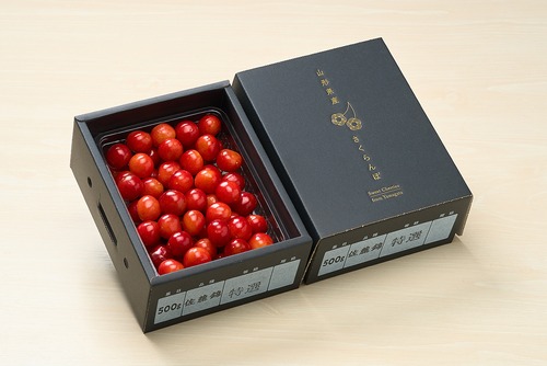 さくらんぼ〈佐藤錦・紅秀峰〉／山形産（500g）
