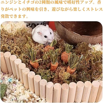 うさぎ おやつ ハムスター かじり木 6個セット チンチラ かじり木