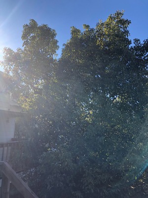 イントロダクションとしてのヒーリング〜ストーリーからの脱却〜