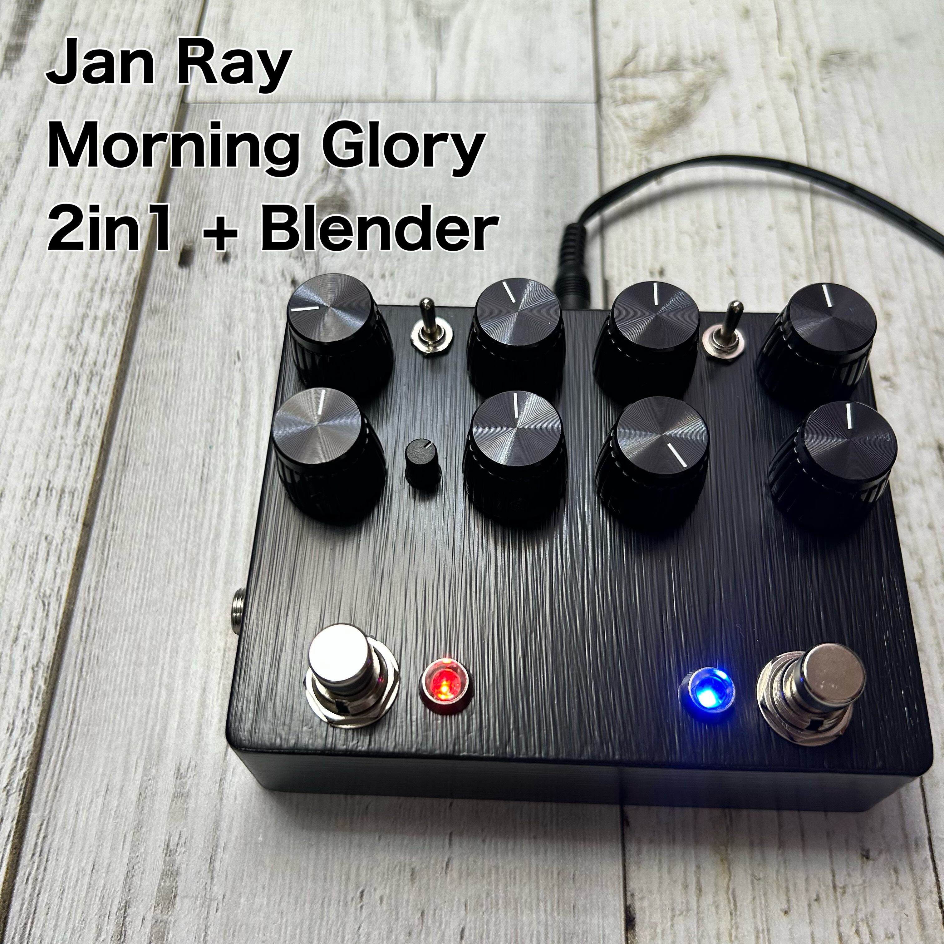 Jan Ray + Morning Glory 2in1 + blender | alphainovops.com