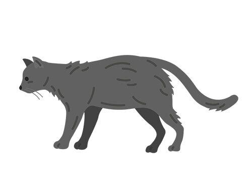 横から見た、黒猫のイラスト | イラストセンター有料素材販売