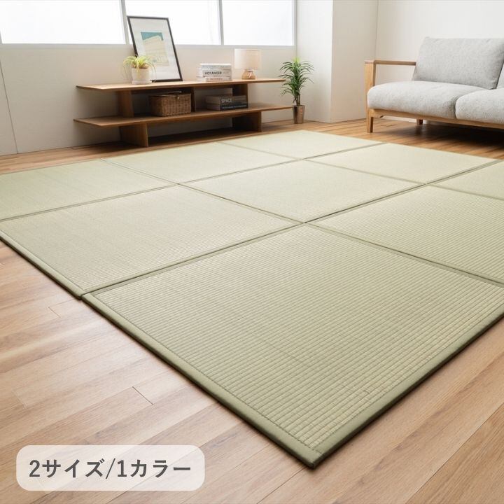 敷物 ラグ・カーペット・畳 置き畳 『清流』 - 約82×164cm