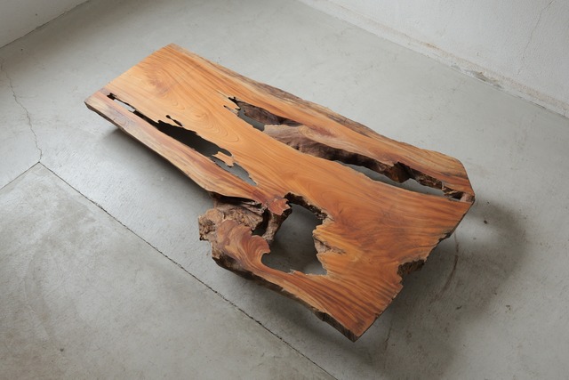 欅　Zelkova
