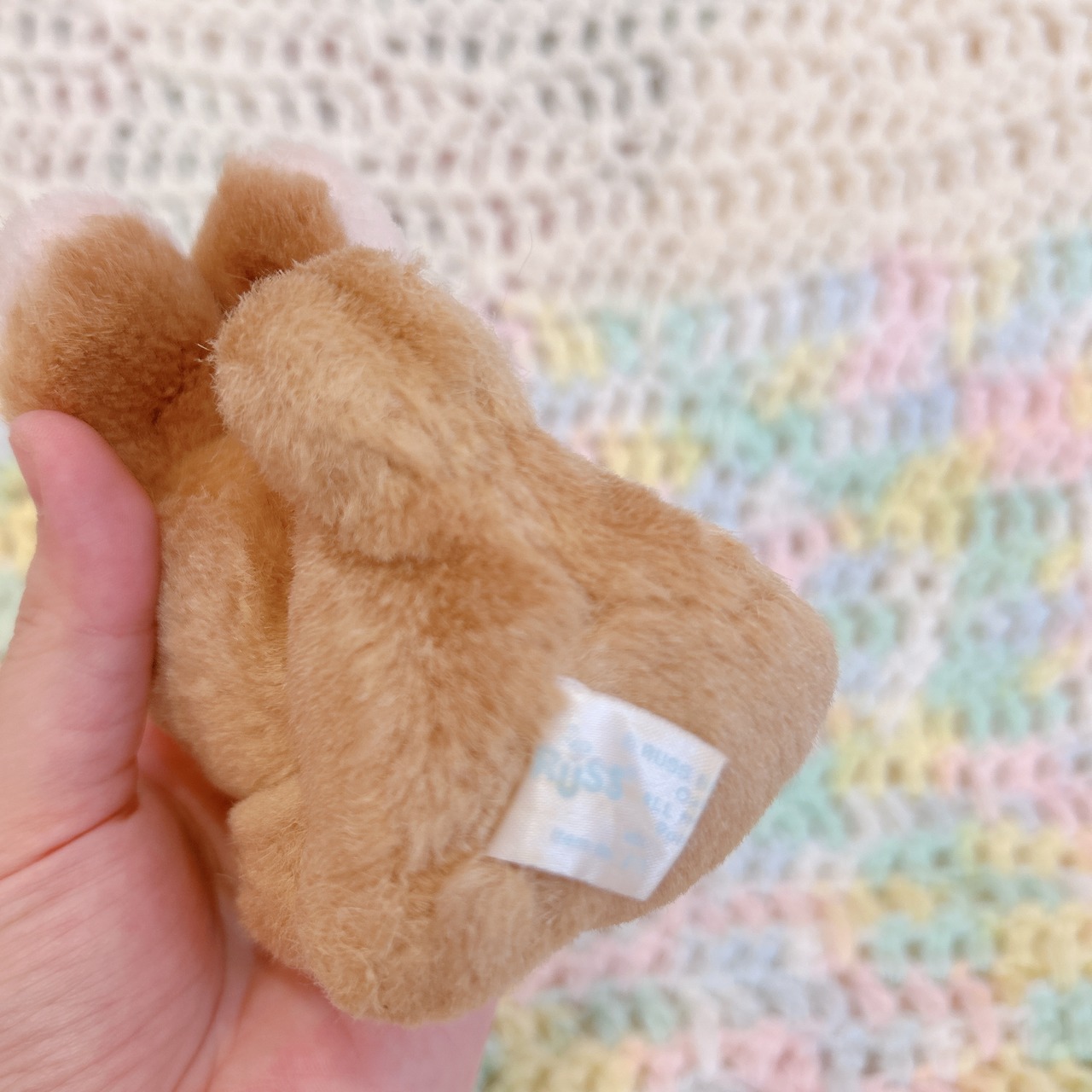 mini bunnyの画像06