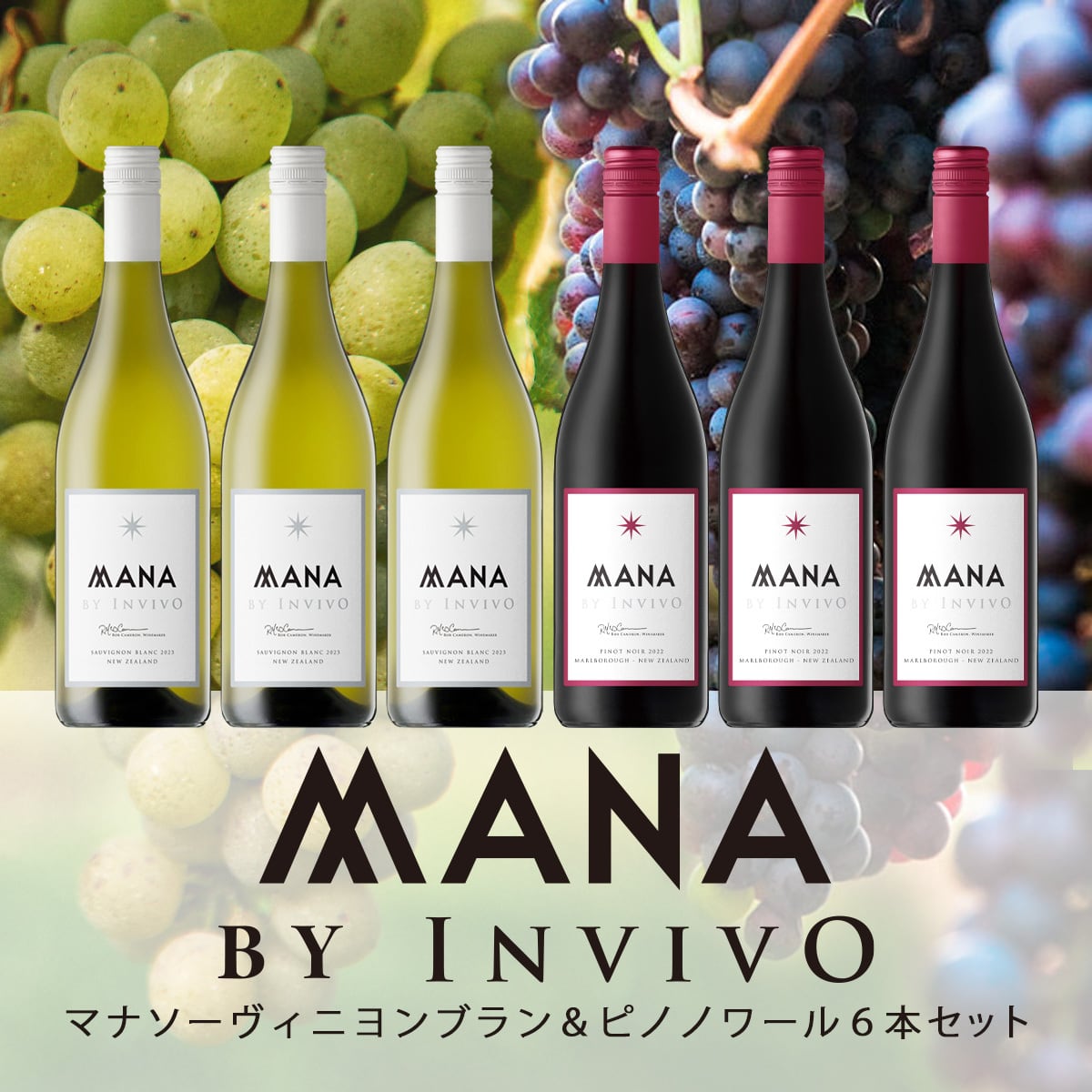 10%OFF】ピノノワール産地飲み比べ3本セット（プレミアム） | Southern